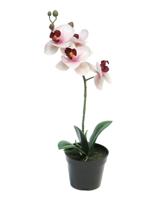 RT Phalaenopsis Bora x1 in pot 35 cm pink kunstbloemen - Nova nature