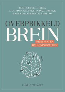 Overprikkeld brein