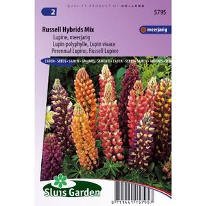 Lupinus Polyphyllus zaden Russell Hybrids Mix