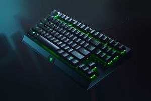 Razer Blackwidow V3 Tenkeyless toetsenbord USB QWERTY Amerikaans Engels Zwart