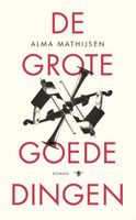 De grote goede dingen - Alma Mathijsen - ebook