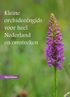 Kleine orchideeëngids voor Nederland en omstreken (Hardback)