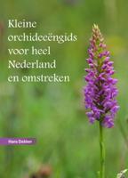 Kleine orchideeëngids voor Nederland en omstreken (Hardback)