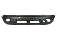 Bumper 5506005029951P