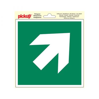 Sticker Vluchtweg pijl schuin - 200x200 mm.