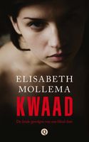 Kwaad - Elisabeth Mollema - ebook