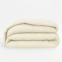 1+1 Gratis Wasbaar Easy Dekbed Zonder Overtrek - Zonder Overtrek - Off White - Dekbed-Discounter.nl