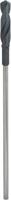 Bosch Accessoires Bekistings- en installatieboren 20 x 400 mm, d 10 mm 1st - 2608596341