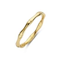 Verfijnde 14k Geelgouden Ring met 2mm Breedte