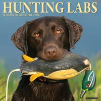 Labradors op Jacht Kalender 2026
