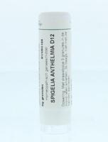 Homeoden Heel Spigelia anthelmia D12 6 Gram