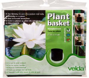 Plant Basket 15 cm display 50 - Velda