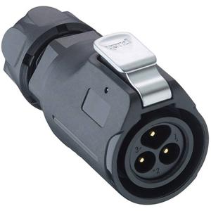 Lumberg 0251 08 Ronde connector Stekker, recht Totaal aantal polen: 8 1 stuk(s)