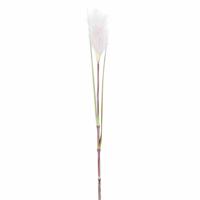 Rietgras/pluimgras kunstplant losse steel - takken - roze/witte pluim - 72 cm