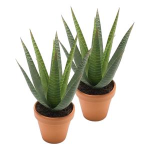 Kunstplant Aloe Vera - 2x - groen - in terracotta pot - 23 cm