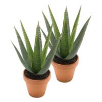 Kunstplant Aloe Vera - 2x - groen - in terracotta pot - 23 cm - thumbnail