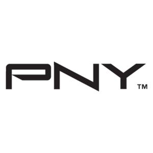 PNY Nvidia RTX 5000 Videokaart ADA Generation 32 GB GDDR6-SDRAM PCIe x16 DisplayPort Vulkan