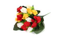 Tulpen Oeteldonk Tulpen Oeteldonk