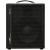 AER Amp Two basgitaarversterker combo, 240 watt