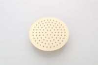 Hoofddouche SaniClear Brass | 30 cm | Rond | Geborsteld messing - mat goud