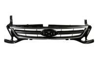 Radiateurgrille 6502072556991P