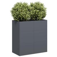 VidaXL Plantenbak 80x40x80 cm koudgewalst staal antracietkleurig