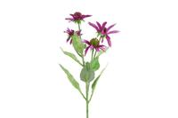 Decostar Echinacea 70 cm paars