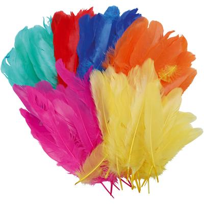 Creativ Company Veren, l: 8-14 cm, diverse kleuren, 120 stuk/ 1 zak