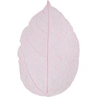 Creativ Company Skeleton leaves , l: 6-8 cm, lichtrood, 20 stuk/ 1 doos