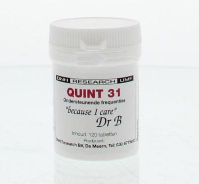 DNH Quint 31