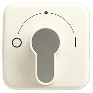 Busch-Jaeger 2CKA001710A1340 Sleutelschakelaar, Sleuteltoets Afdekking Duro 2000 SI Parel-wit, Crème-wit 1 stuk(s)