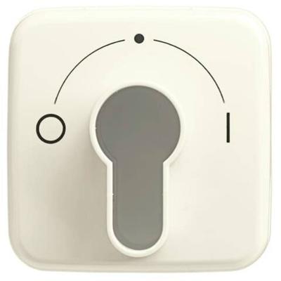 Busch-Jaeger 2CKA001710A1340 Sleutelschakelaar, Sleuteltoets Afdekking Duro 2000 SI Parel-wit, Crème-wit 1 stuk(s)
