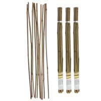 Gerimport Plantenstokken - 30x stuks - 60 cm - plantensteun / tonkinstokken