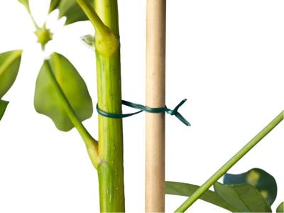 Bindband groen met metalen kern geplastificeerd 100m - Nature
