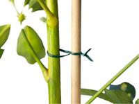 Bindband groen met metalen kern geplastificeerd 100m - Nature