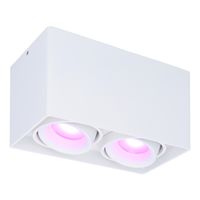 Smart WiFi LED opbouw plafondspot Esto 2 lichts/dubbel Wit incl. 2x 5,5W GU10 RGBWW spot IP20 kantelbaar