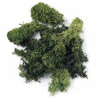 4x pakjes decoratie mos donkergroen 100 gram 4x pakjes decoratie mos donkergroen 100 gram