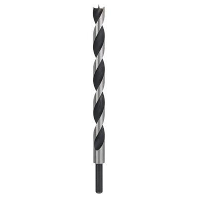 Bosch Accessoires Machinehoutboor met M-punt 16 x 250 mm, d 10 mm 1st - 2608597192
