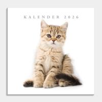 Katten Kalender 2026