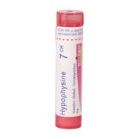Hypophysine 7ch Gr 4g Boiron Hypophysine 7ch Gr 4g Boiron