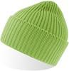 Atlantis AT100 Oak Beanie - Acid-Green - One Size