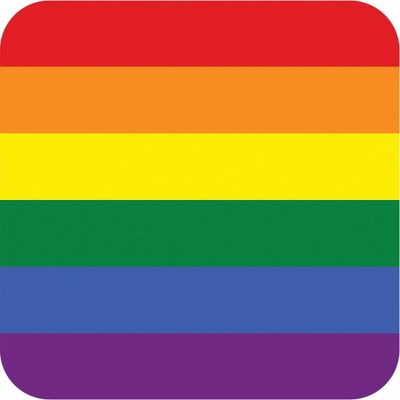 25x Bierviltjes in Gay Pride thema