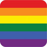 25x Bierviltjes in Gay Pride thema - thumbnail