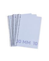 HEMA Collegeblokken Blauw A4 Geruit 10mm - 3 Stuks