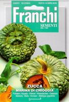 Pompoen, Zucca marina di Chioggia 145/2 - Franchi