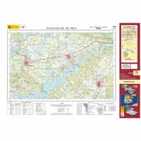 Topografische kaart 755 MT50 Navalvillar de Pela | CNIG - Instituto Geográfico Nacional1