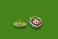 Free Palestine pin Free Palestine pin