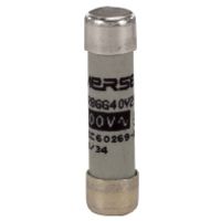 FR8GG40V25  (10 Stück) - Cylindrical fuse 8x32 mm 25A FR8GG40V25