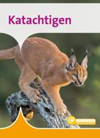 Katachtigen (Hardback)