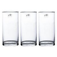 3x Cilinder bloemen vaas helder glas 10 x 20 cm